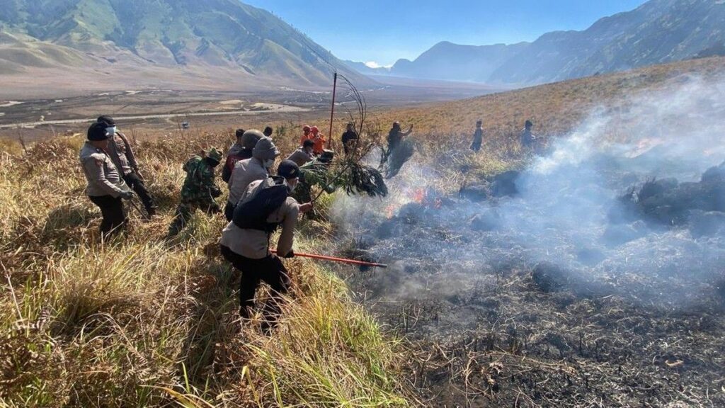 Kebakaran Hutan TNBTS Meluas Hingga Reach 127 Hektare