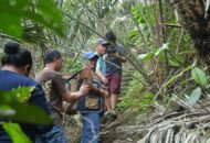 Minahasa Tenggara Dorong Agrowisata Buah Salak di Desa Pangu