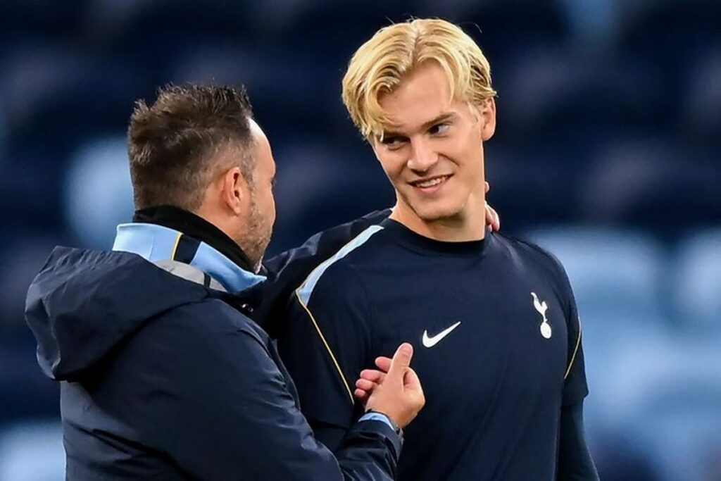 Tottenham Hotspur Tandingi Hoffenheim dalam Laga Uji Coba
