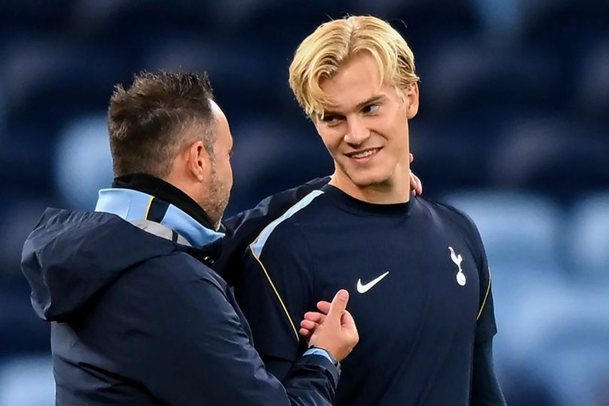 Tottenham Hotspur Tandingi Hoffenheim dalam Laga Uji Coba