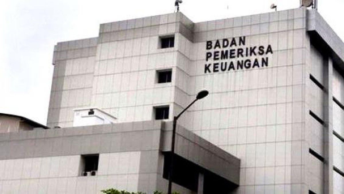 BPK Temukan Kelebihan Pembayaran Belanja di BSSN Tahun 2025