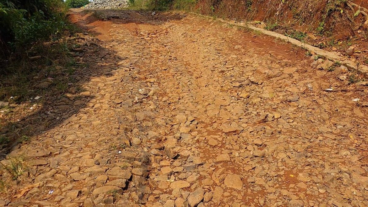 Pemprov Banten Janji Perbaiki Jalan Rusak di Desa Cijaralang