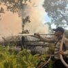 Polres Pelalawan Tangkap Pria S Pemicu Kebakaran Lahan di Kerumutan