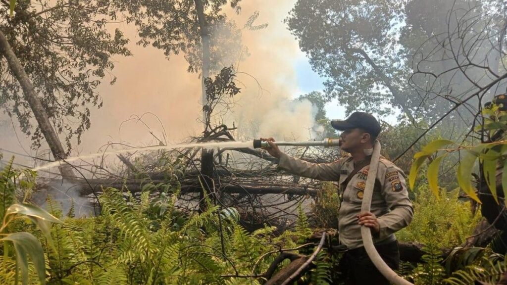 Polres Pelalawan Tangkap Pria S Pemicu Kebakaran Lahan di Kerumutan
