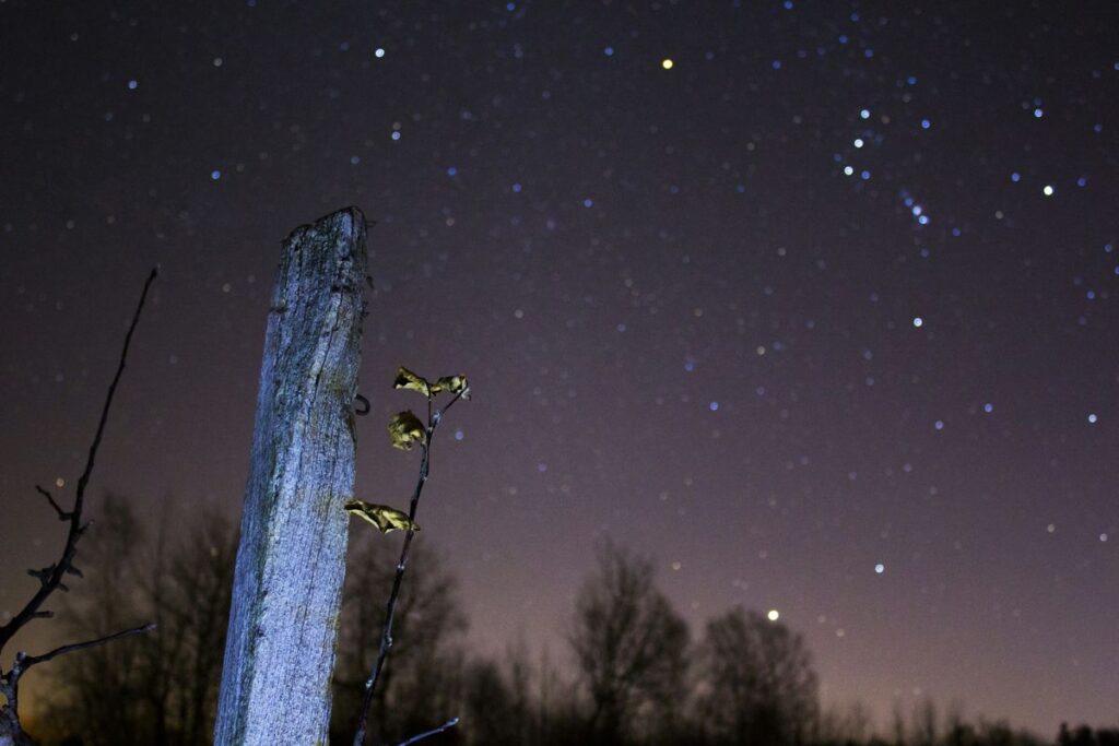 Peluang Zodiak Cancer Leo dan Virgo Hari Ini Perlu Pengelolaan Emosi