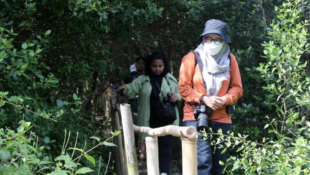 Jakarta Miliki 608 Hektare Ekowisata Mangrove untuk Liburan