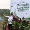 BPOM Resmikan Pusat Tanaman Obat Bahan Alam di Sumsel