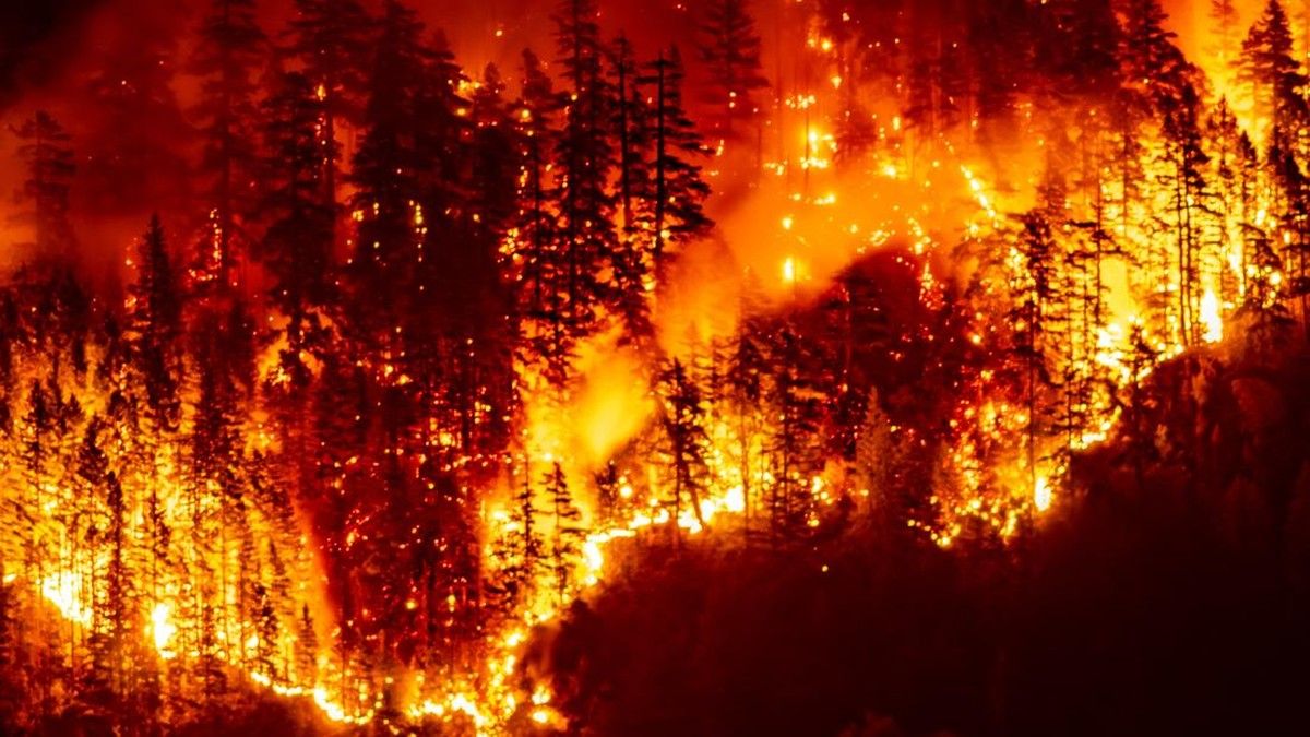 Kebakaran Hutan Bald Range Kanada Paksa Ribuan Warga Mengungsi