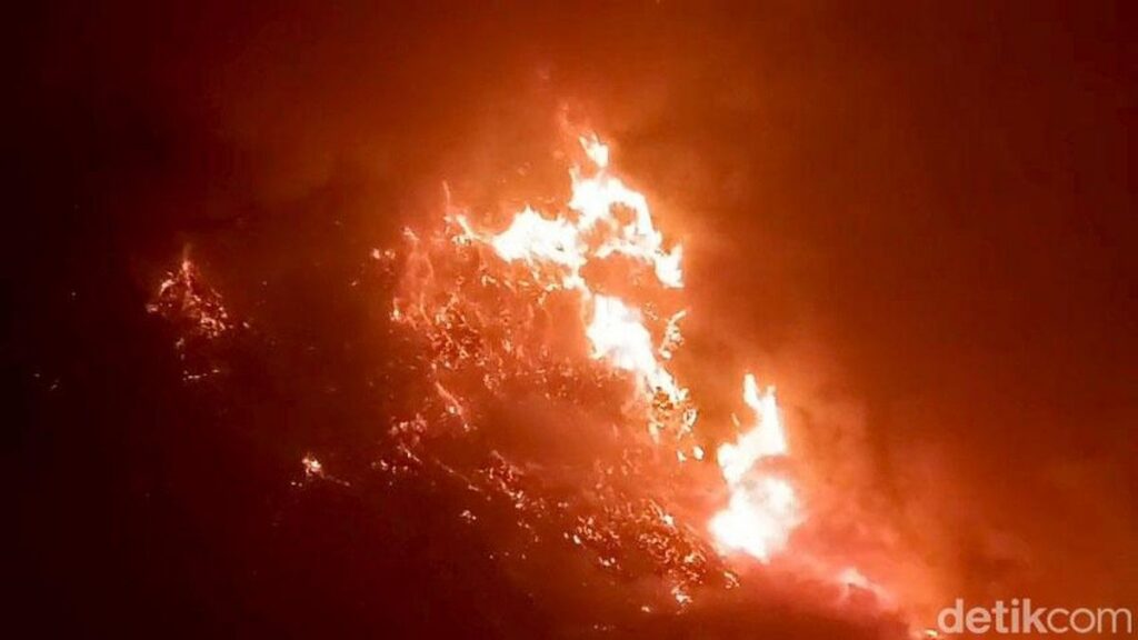 Kebakaran Hutan Meluas Bromo Ditutup Total Bagi Wisatawan
