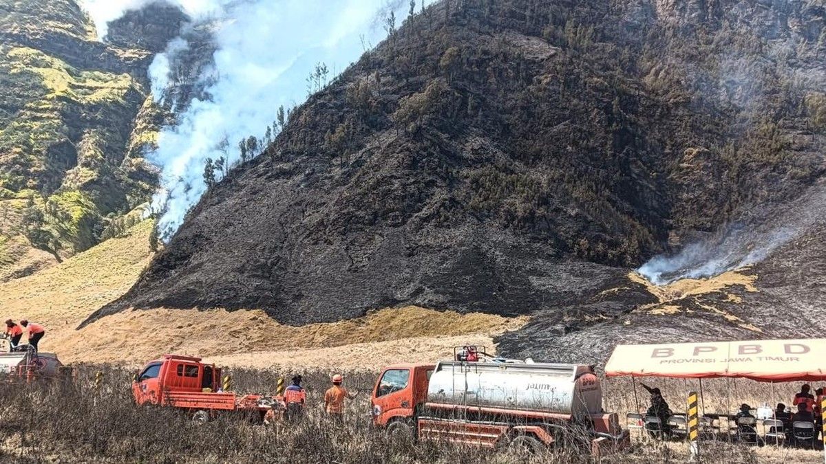 Kebakaran Lahan Gunung Bromo Meluas Hingga 550 Hektare