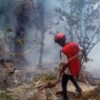 Helikopter Turis Jatuh di Kenya Menewaskan Kepala Intelijen Ekuador