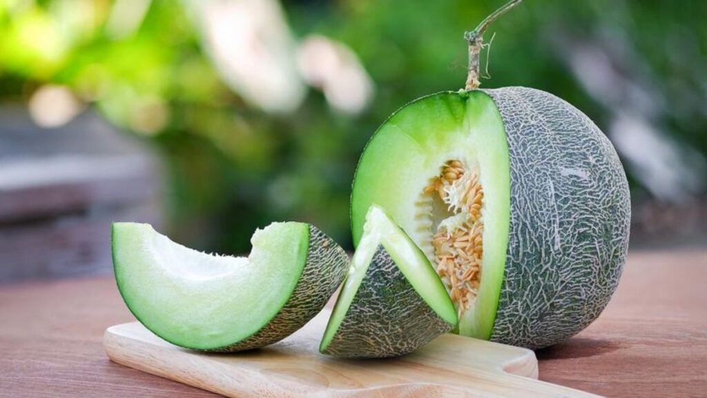 Cara Memilih Melon Matang dan Manis Agar Tidak Salah Beli