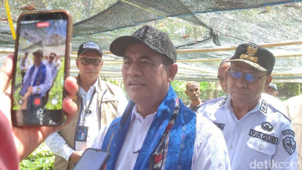 Mentan Amran Sulaiman Pastikan Stok Beras di Alor NTT Aman