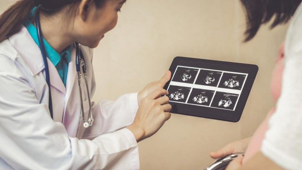 Memahami Tahap Blastula dalam Perkembangan Awal Janin