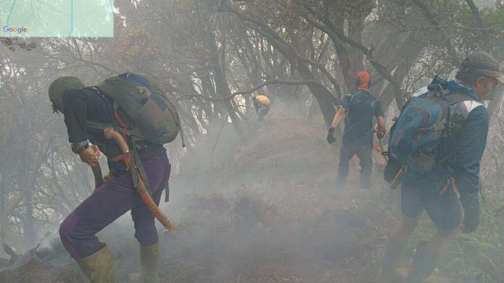 Kebakaran Hutan Kawah Wadon Gunung Gede Pangrango Hanguskan 10 Hektare