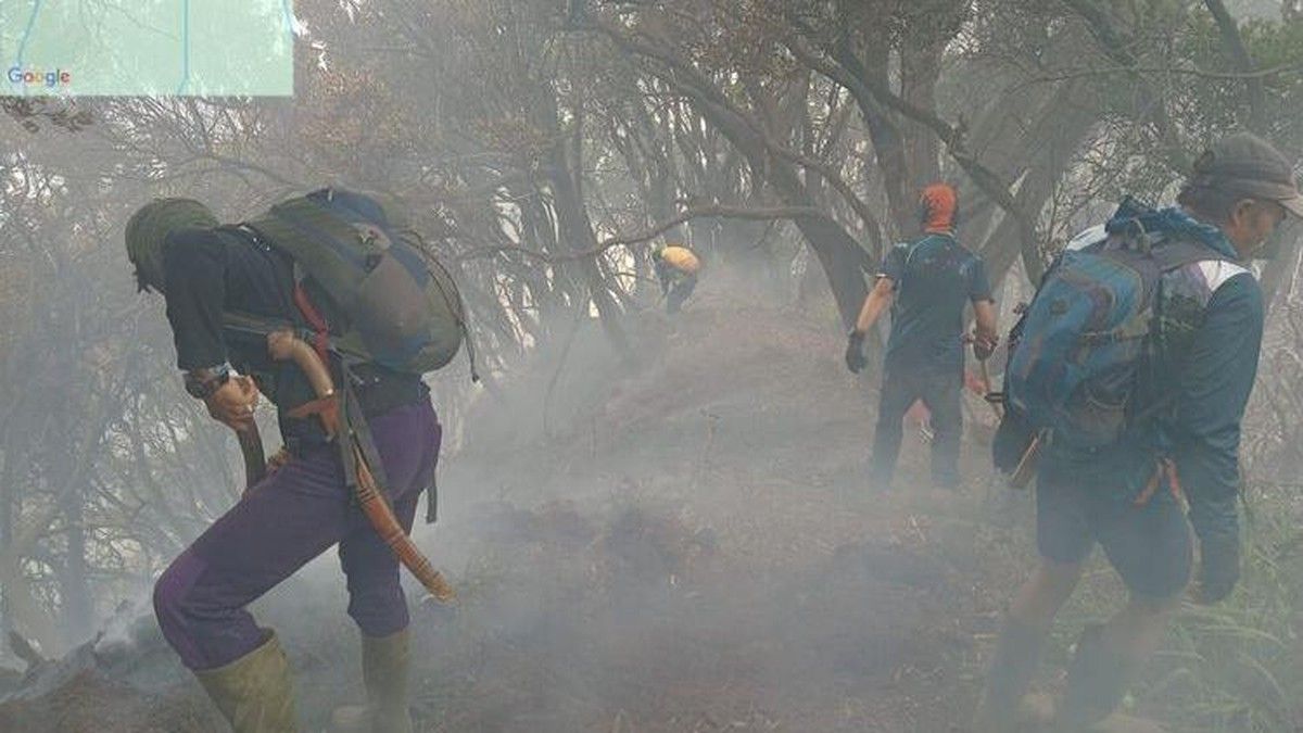 Kebakaran Hutan Kawah Wadon Gunung Gede Pangrango Hanguskan 10 Hektare