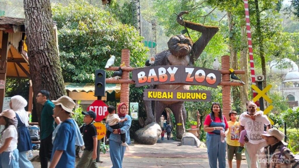 Taman Safari Bogor Sediakan Banyak Area Satwa dan Tiket Mulai Rp 185 Ribu