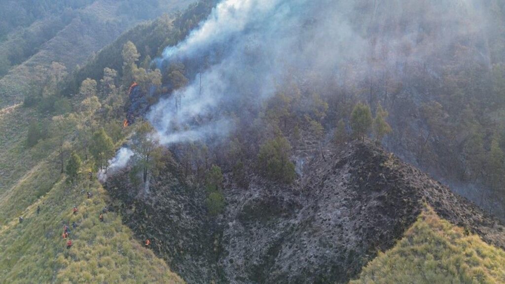 Kebakaran Hutan TNBTS Hanguskan 899 Hektare Lahan