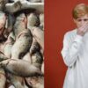 Proyek pembersihan tangki saus ikan terbengkalai dimulai setelah bau 20 tahun