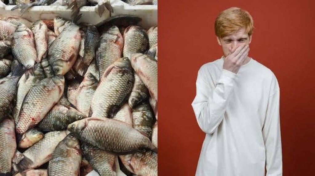 Proyek pembersihan tangki saus ikan terbengkalai dimulai setelah bau 20 tahun