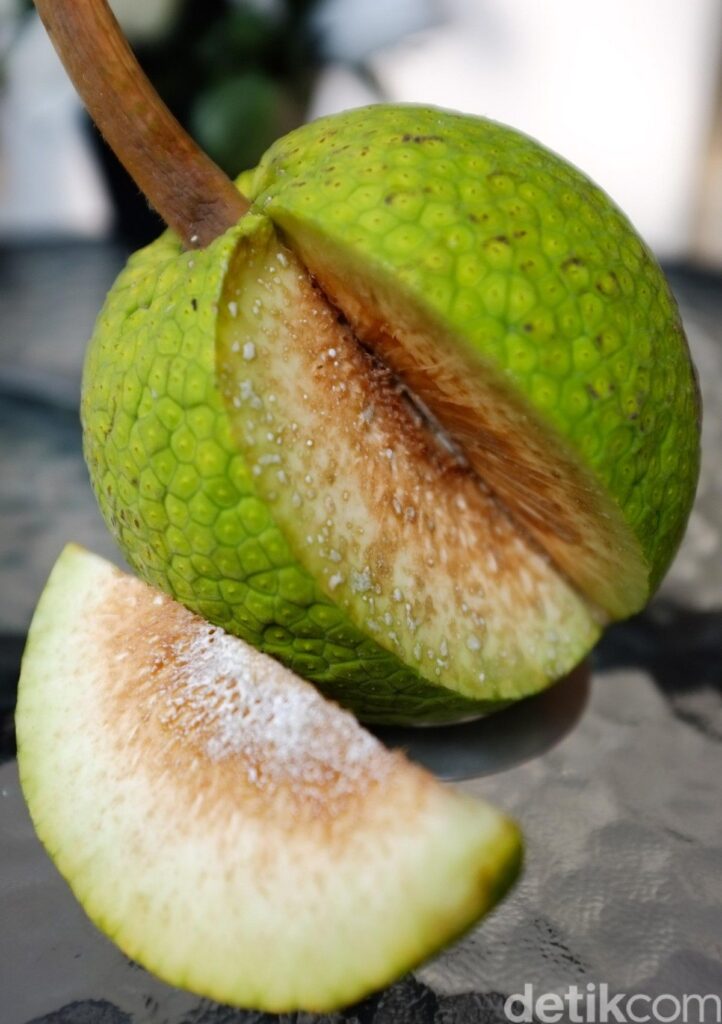 Manfaat dan Kandungan Nutrisi Buah Sukun untuk Kesehatan