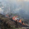 Kebakaran Hutan Gunung Bromo Meluas Hingga Kabupaten Probolinggo