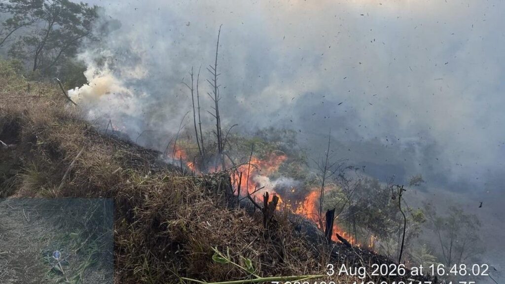Kebakaran Hutan Gunung Bromo Meluas Hingga Kabupaten Probolinggo