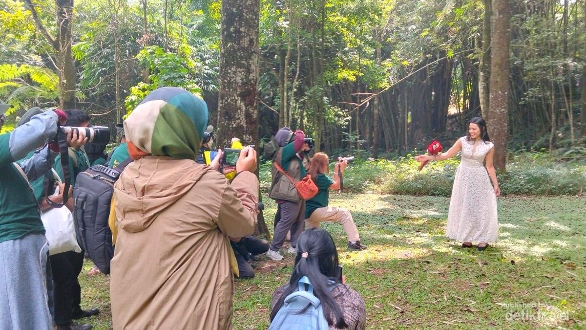 Juri IAPVC 2026 Bagikan Tips Memotret dan Merekam Satwa