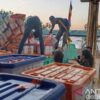 BNPB Salurkan Bantuan Logistik Gempa ke Pulau Palue NTT
