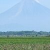 Gunung Semeru Erupsi Dua Kali Pagi Ini Lontarkan Abu 700 Meter