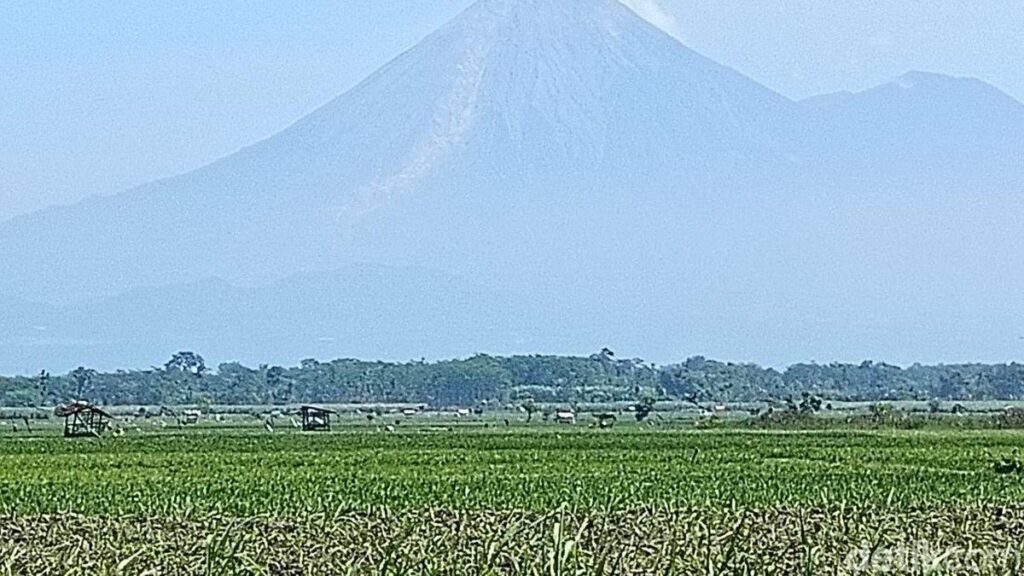 Gunung Semeru Erupsi Dua Kali Pagi Ini Lontarkan Abu 700 Meter
