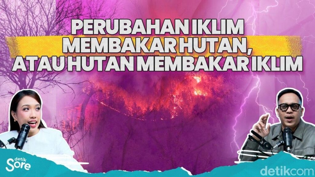 Pemerintah Siagakan 43 Helikopter Bencana Karhutla Nasional