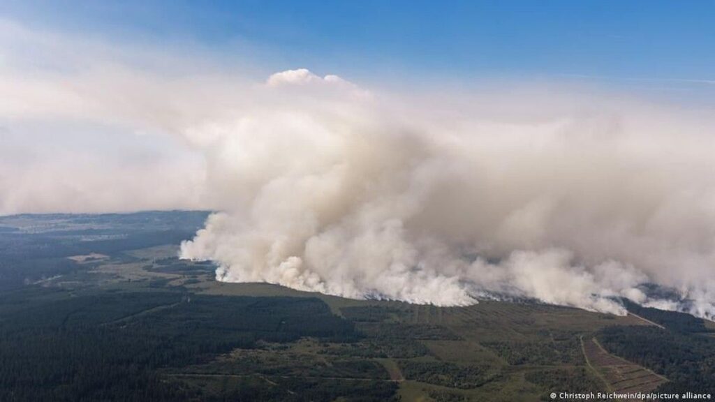 Hujan Bantu Padamkan Kebakaran Hutan Terparah di Belgia