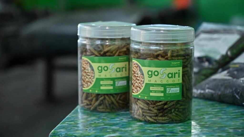 TPS 3R GO-SARI Bantul Kelola Sampah Jadi Produk Bernilai Ekonomi