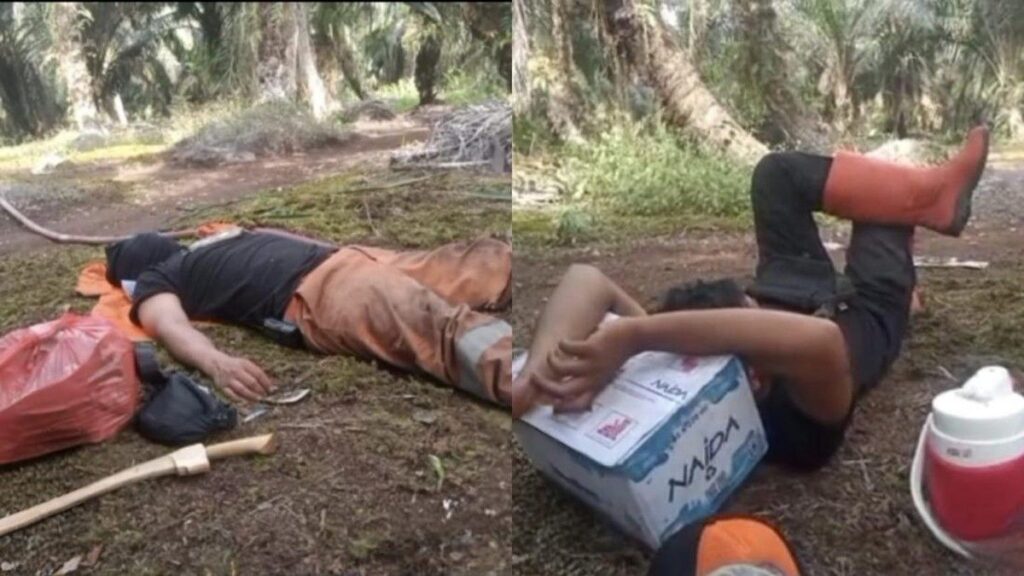 Petugas Karhutla Kobar Berjibaku Padamkan Api di Tengah Kepungan Asap