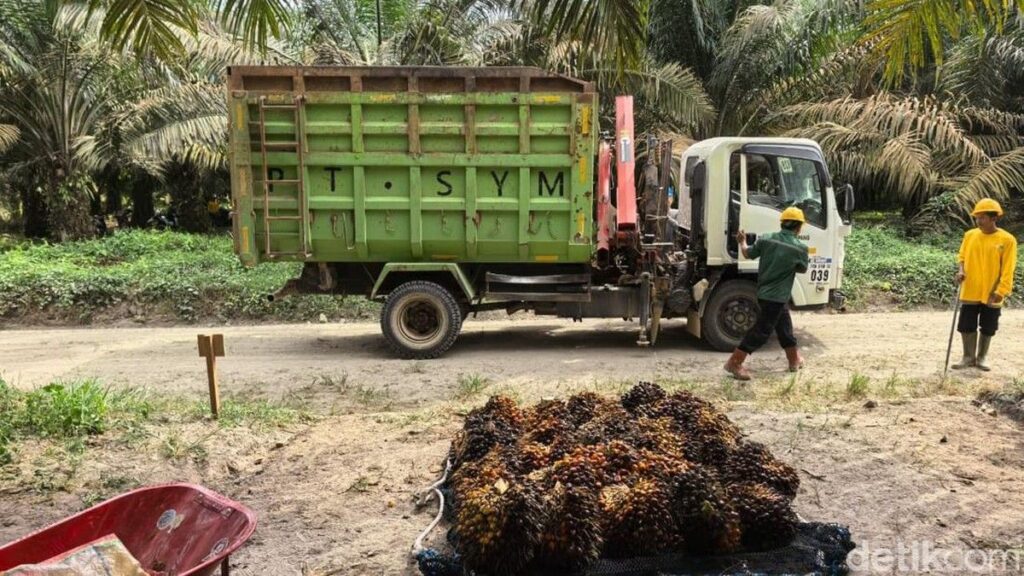 Astra Agro Kembangkan Varietas Sawit Unggul untuk Dongkrak Produksi