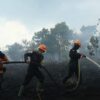 BPBD Kalimantan Timur Catat 413 Titik Karhutla dengan Luas 937 Hektare