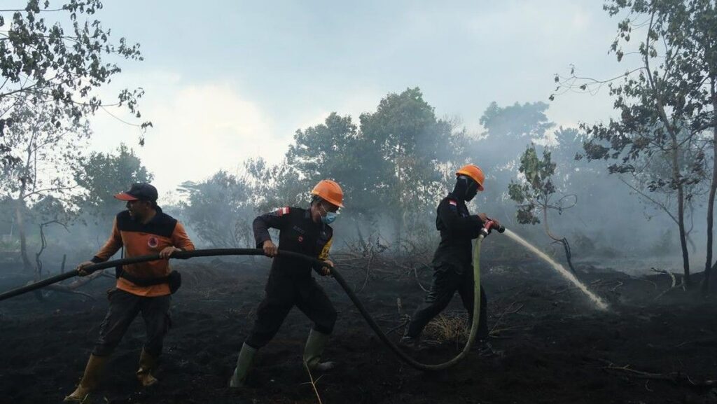 BPBD Kalimantan Timur Catat 413 Titik Karhutla dengan Luas 937 Hektare