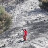 BBTNBTS Hitung Kerugian akibat Kebakaran Hutan di Gunung Bromo