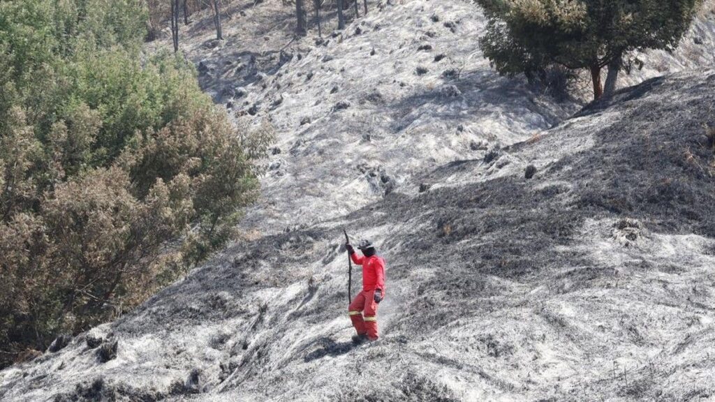 BBTNBTS Hitung Kerugian akibat Kebakaran Hutan di Gunung Bromo