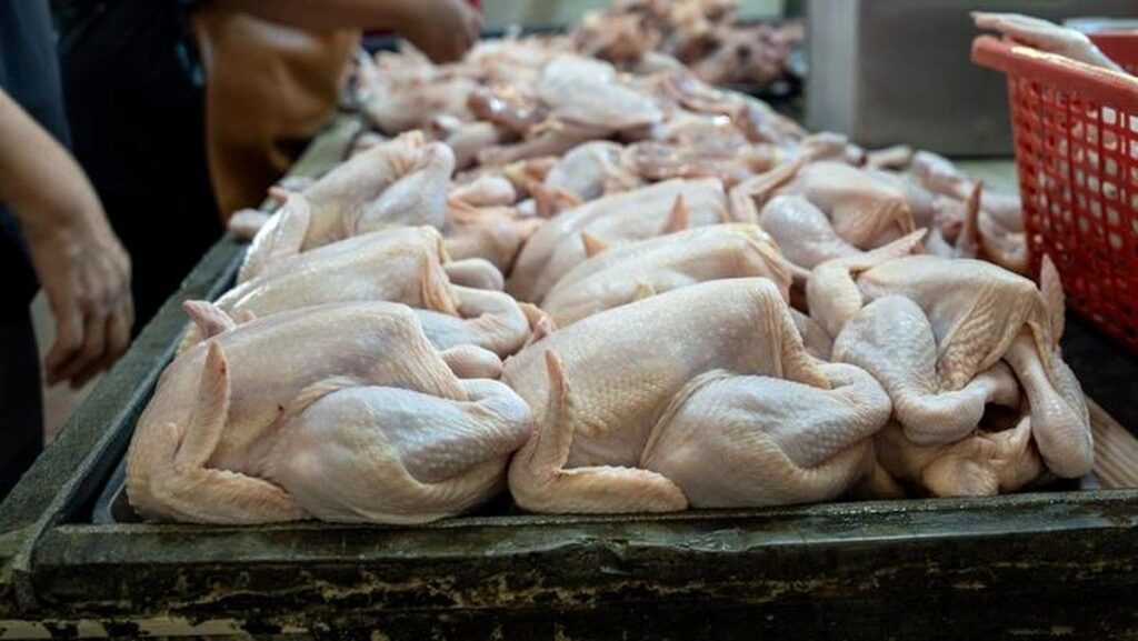 BPS Catat Harga Daging Ayam Ras Naik di 188 Daerah