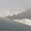 MTI Soroti Ketidaksesuaian Manifes Kapal Mutiara Sentosa 2