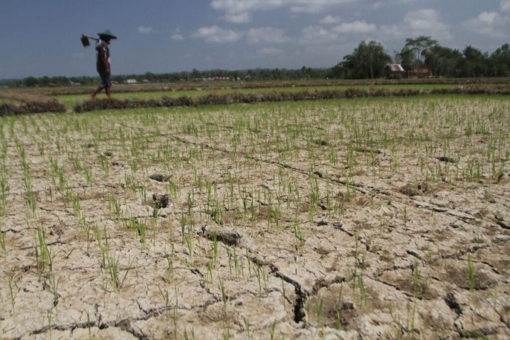Pemerintah Purwakarta Salurkan 247 Ribu Liter Air Bersih Hadapi Kekeringan