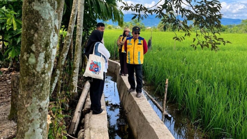 Pemkab Nagan Raya Percepat Pemulihan Sawah Terdampak Bencana