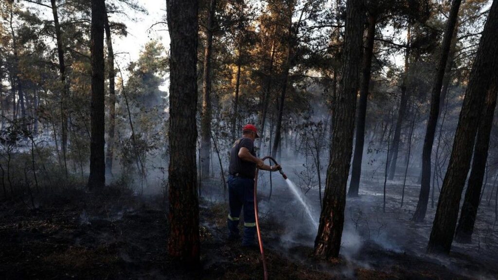 Kebakaran Hutan Ancam Kawasan Wisata Kassandra Yunani 500 Turis Dievakuasi