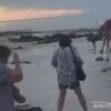 Unta Ngamuk di Cable Beach Broome Lempar Dua Turis hingga Cedera