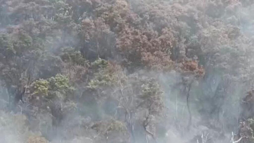 Kebakaran Lahan Kawah Wadon Gunung Gede Pangrango Meluas