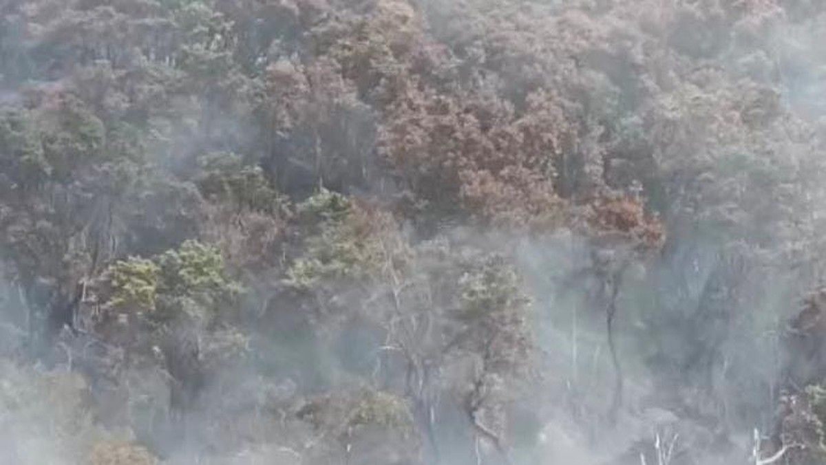 Kebakaran Lahan Kawah Wadon Gunung Gede Pangrango Meluas