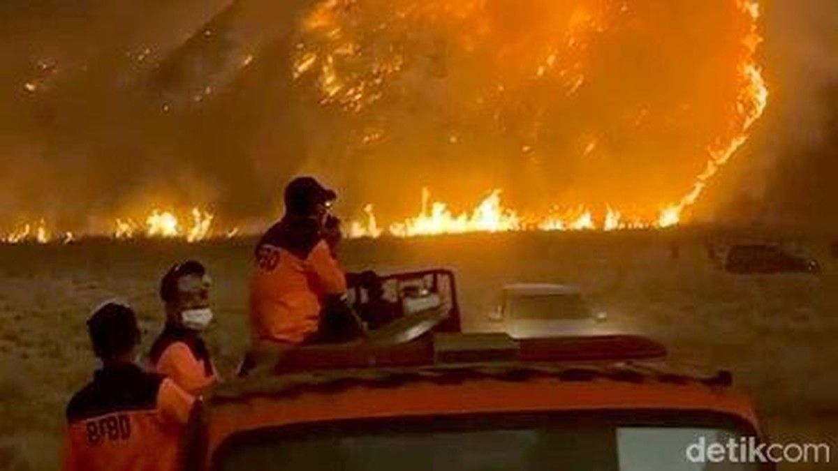 Kebakaran Hutan Memaksa Wisata Gunung Bromo Ditutup Total