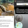 Kebakaran Hutan Parah Terjadi di Kalimantan Selatan 2026
